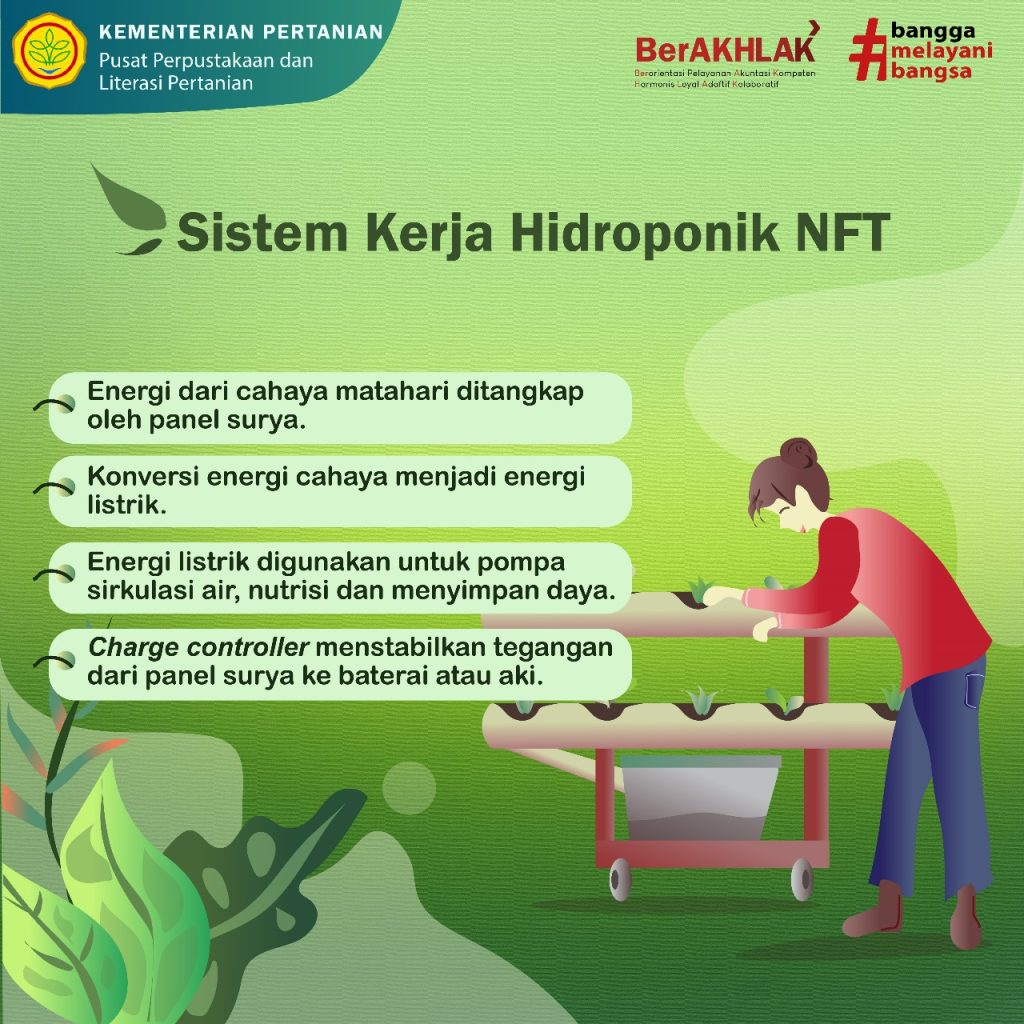 Inovasi Hijau Di Jantung Kota Membangun Suplai Sayuran Restoran Masa Depan Dengan Teknologi Hidroponik