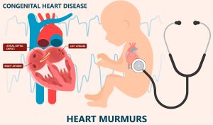 Mengenal Penyakit Jantung Bawaan Pada Anak Panduan Lengkap Untuk Orang Tua