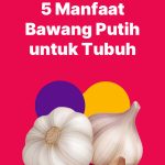 Mengungkap Manfaat Bawang Putih Untuk Mengencerkan Darah Panduan Lengkap