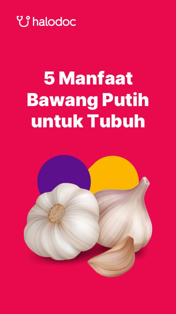 Mengungkap Manfaat Bawang Putih Untuk Mengencerkan Darah Panduan Lengkap