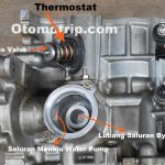 Pentingnya Fungsi Thermostat Dan Bahayanya Jika Dilepas Menjaga Jantung Mesin Anda Tetap Optimal