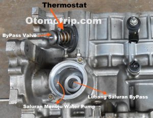 Pentingnya Fungsi Thermostat Dan Bahayanya Jika Dilepas Menjaga Jantung Mesin Anda Tetap Optimal