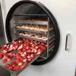 Teknologi Pengeringan Beku Revolusi Cara Kita Mengawetkan Makanan Untuk Masa Depan Pangan