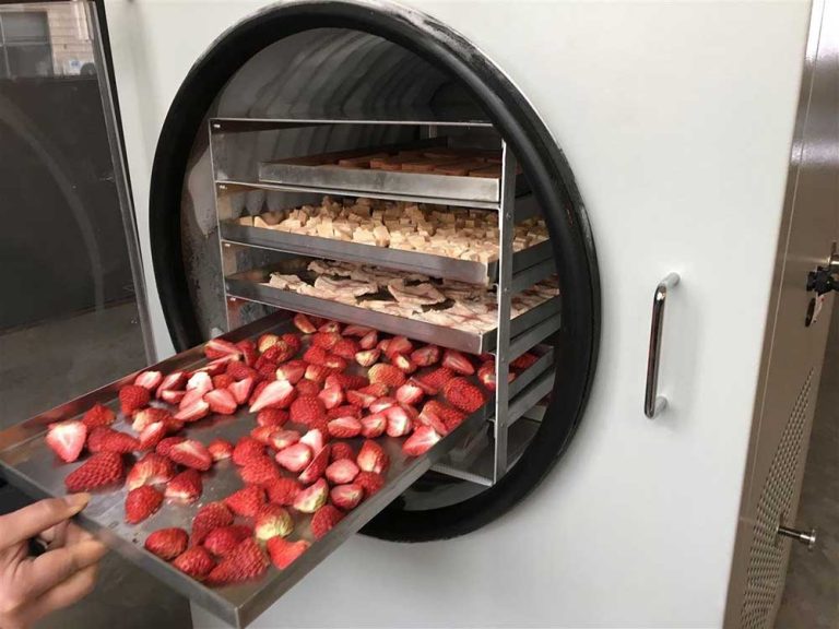 Teknologi Pengeringan Beku Revolusi Cara Kita Mengawetkan Makanan Untuk Masa Depan Pangan