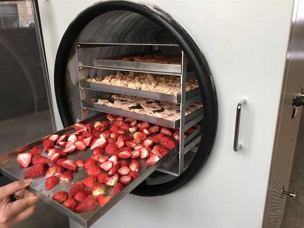 Teknologi Pengeringan Beku Revolusi Cara Kita Mengawetkan Makanan Untuk Masa Depan Pangan